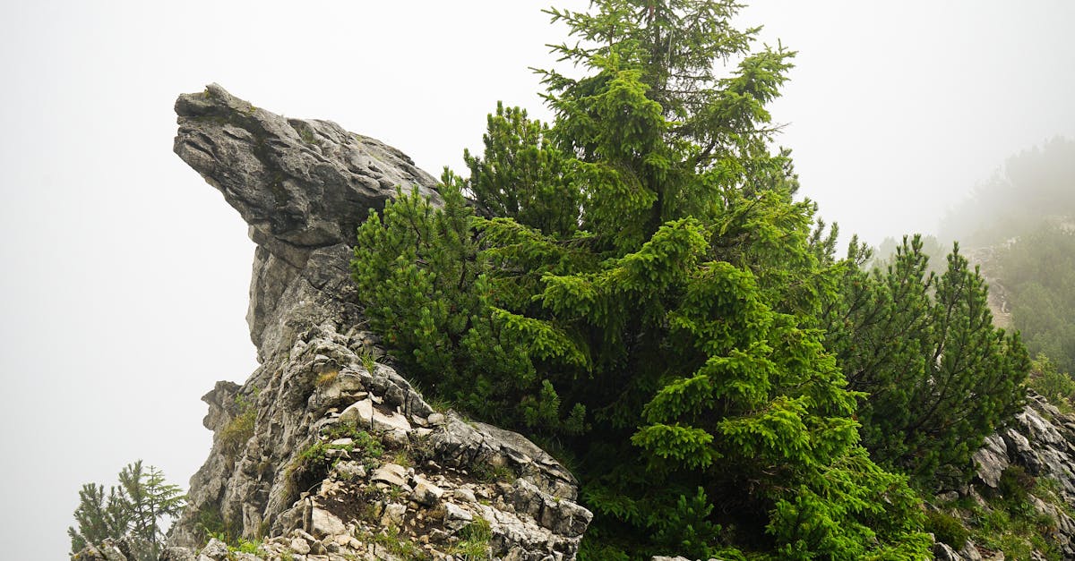 Adding Movement and Sound with Water Features