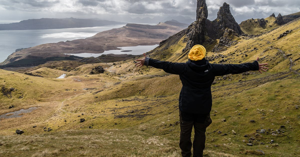 Attracting Wildlife with Water Features in Your Garden