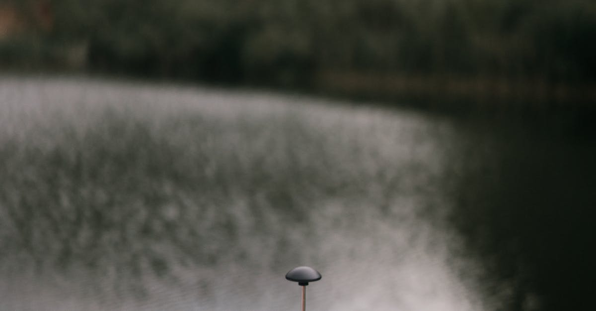 Benefits of Professional Landscape Lighting Design