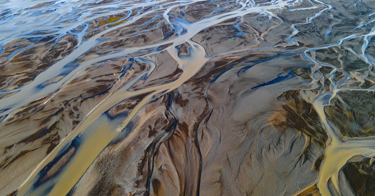 Benefits of Sustainable Landscaping