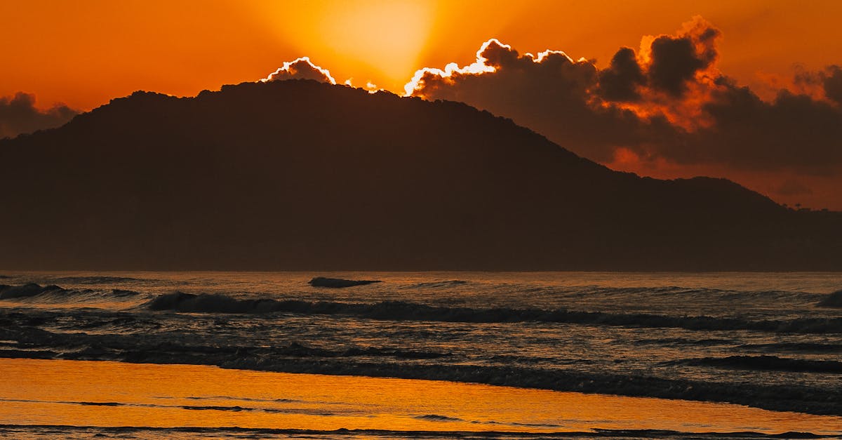 Composting and Soil Health in Sustainable Gardening