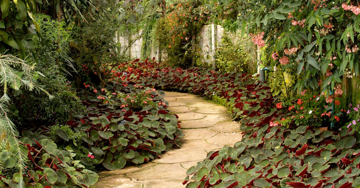 Creating a Seamless Indoor-Outdoor Flow with Deck Design