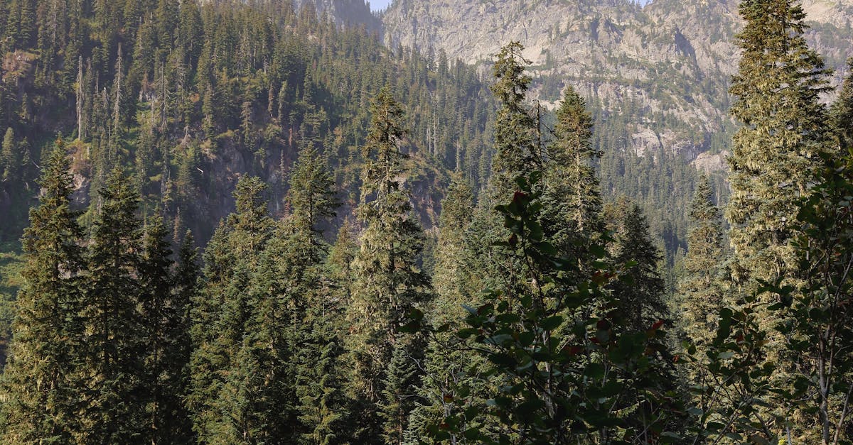 Creating an Eco-Friendly Patio Design with Sustainable Materials