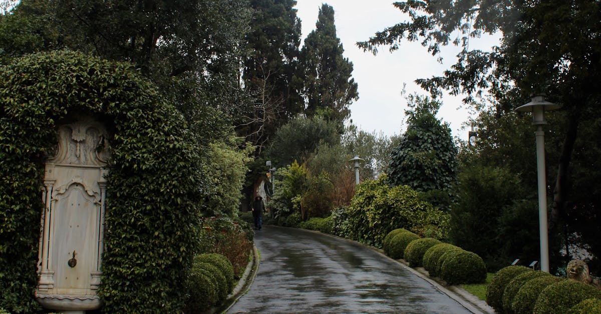 Deer-Resistant Plants for Landscaping