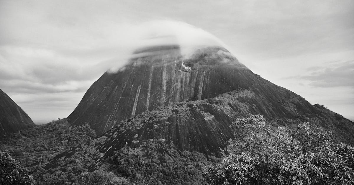 Designing a Functional and Stylish Deck Layout