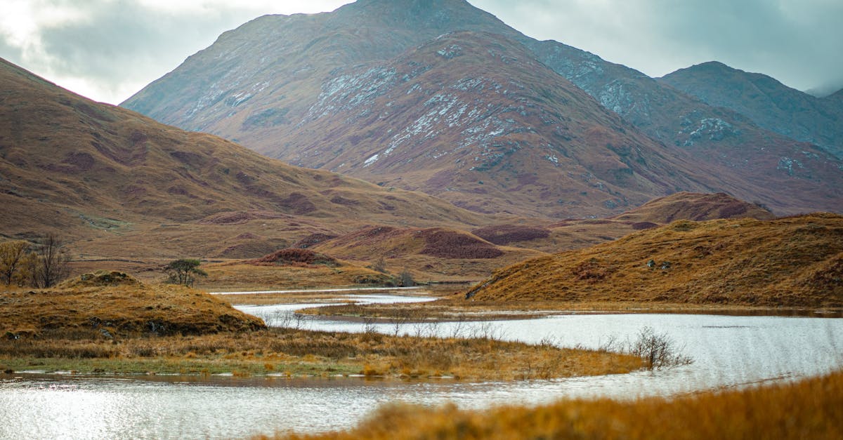 Designing a Low-Maintenance Patio for Easy Upkeep