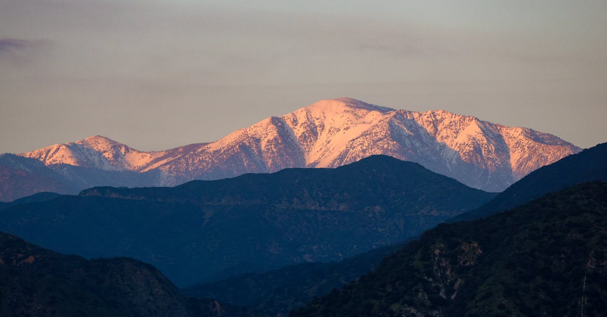 Energy-Efficient Options for Landscape Lighting