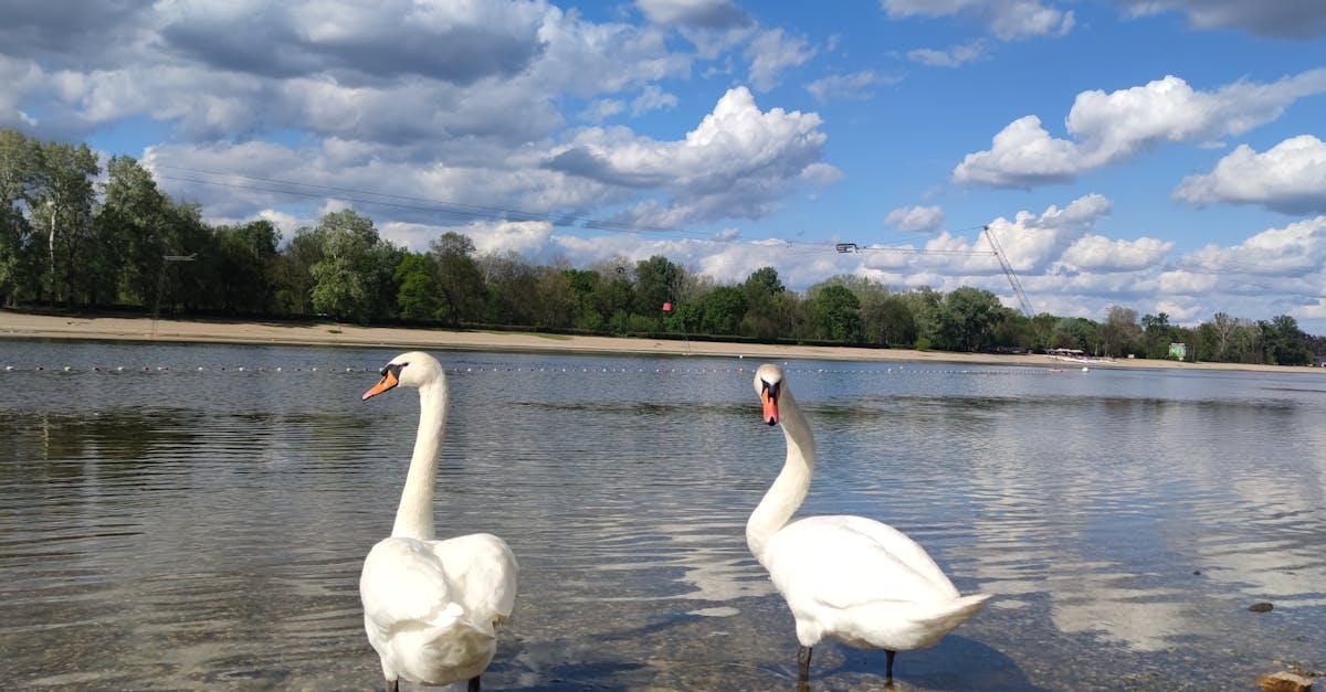 Enhancing Your Landscape with a Stylish Fire Pit Design