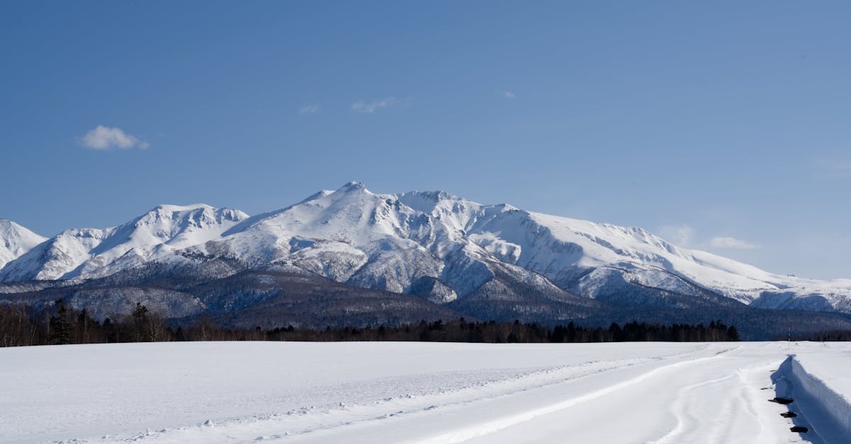 Fall Planting Guide for a Beautiful Garden