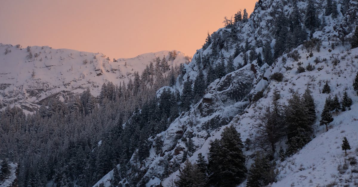 Importance of Lighting in Landscape Design