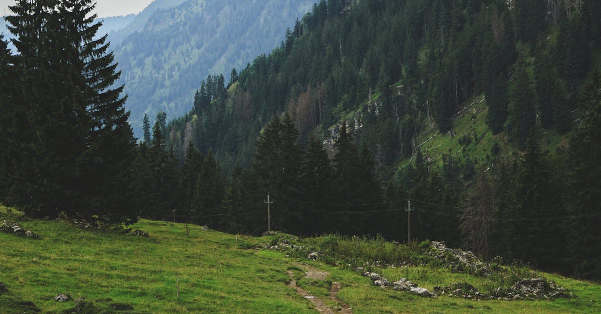 Incorporating LED Lighting into Outdoor Designs