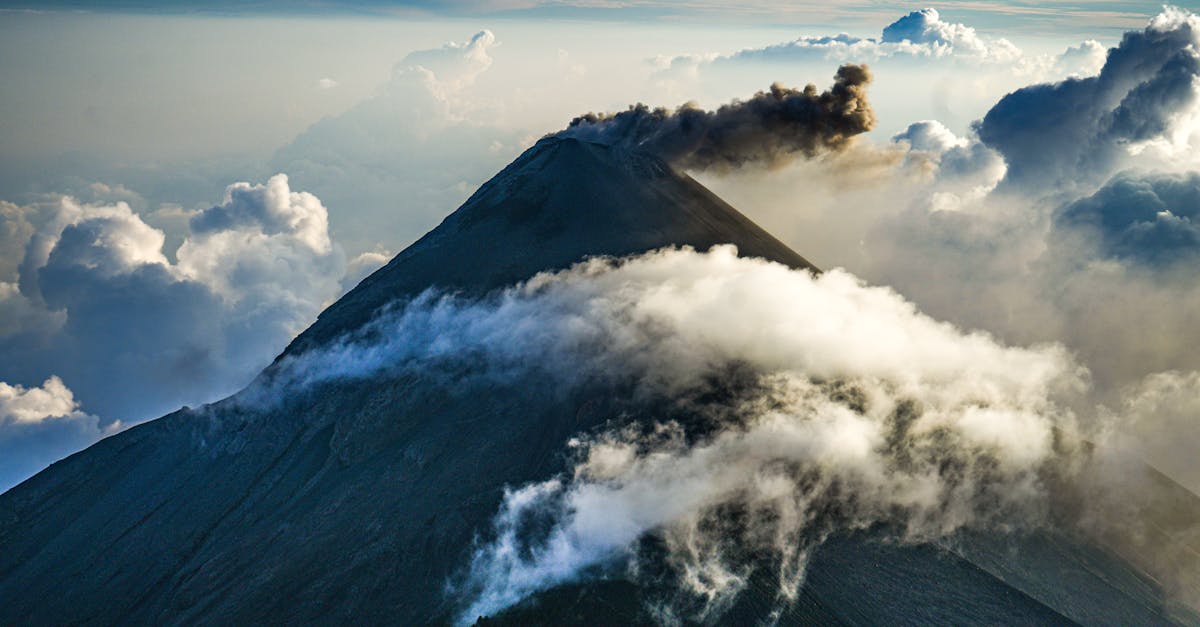 Incorporating Native Plants into Your Landscape Design