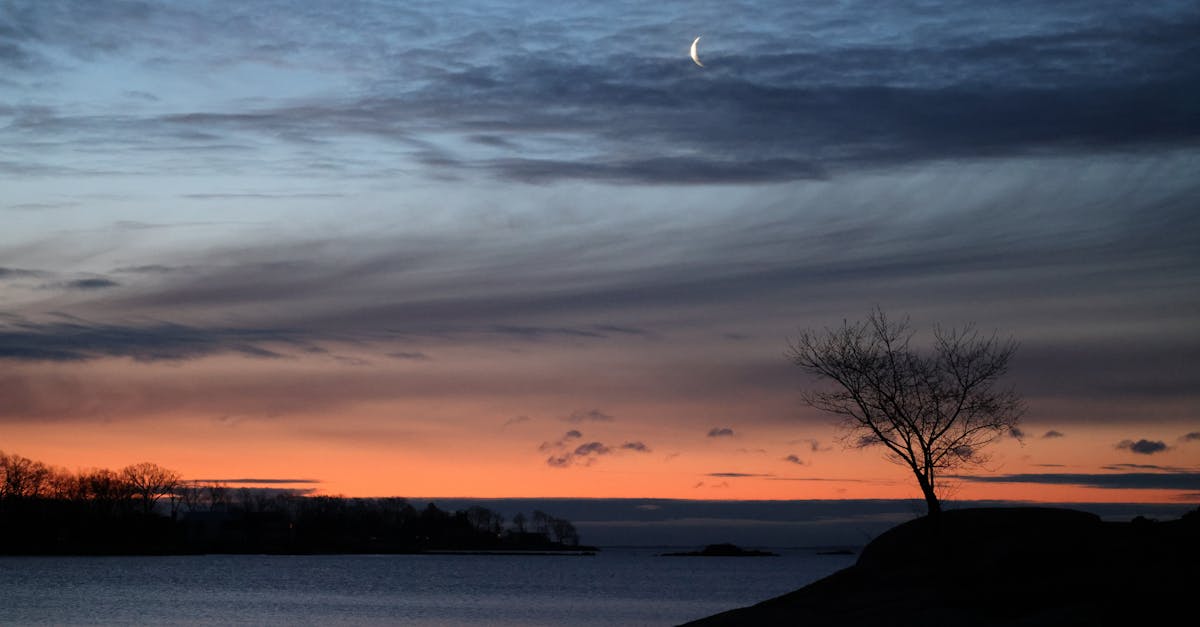 Incorporating Trees and Shrubs in Your Plant Selection