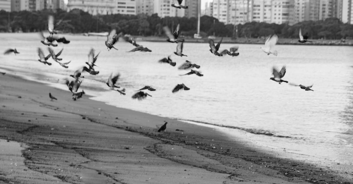 Incorporating Water Conservation in Your Water Feature Design