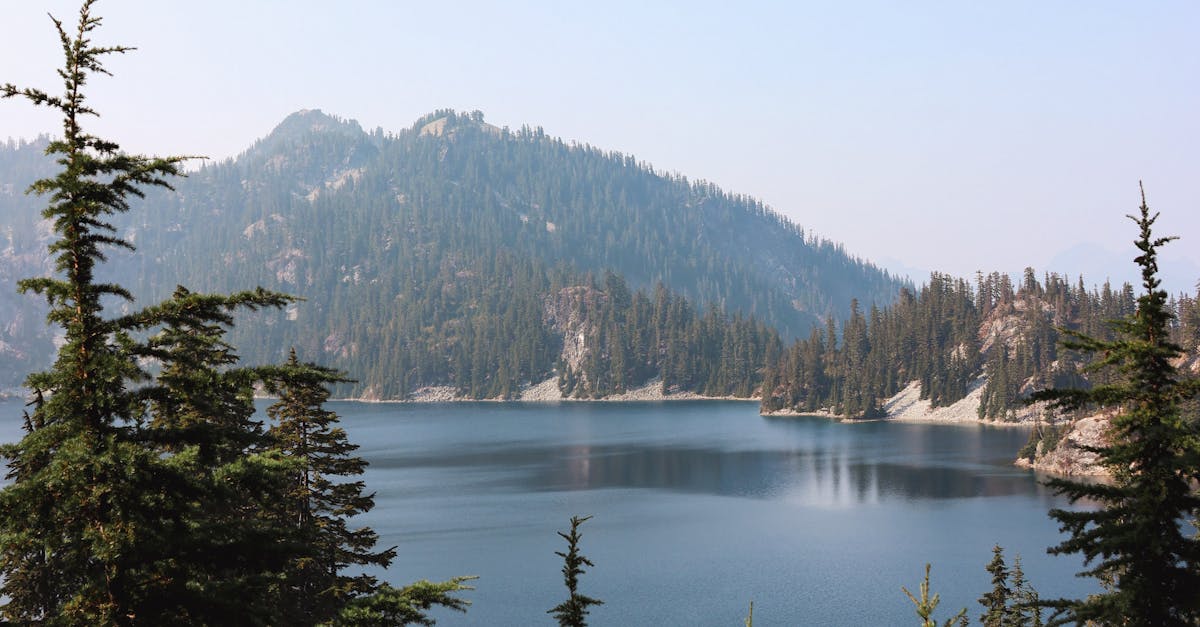 Incorporating Water Features into Your Garden Design