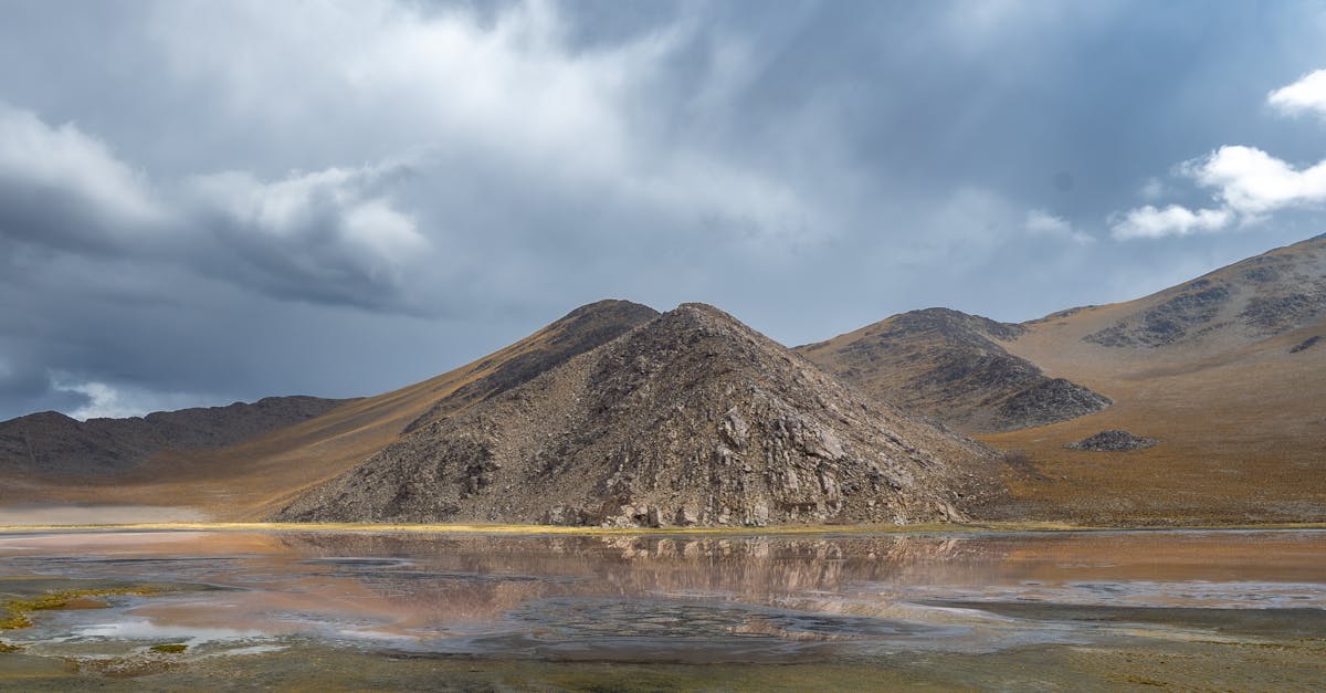 Incorporating Water Features into Your Landscape Design