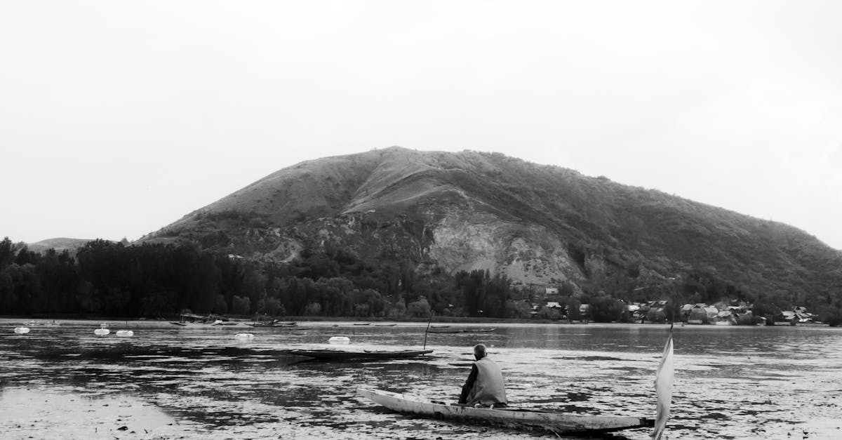 Ornamental Grasses for Landscaping