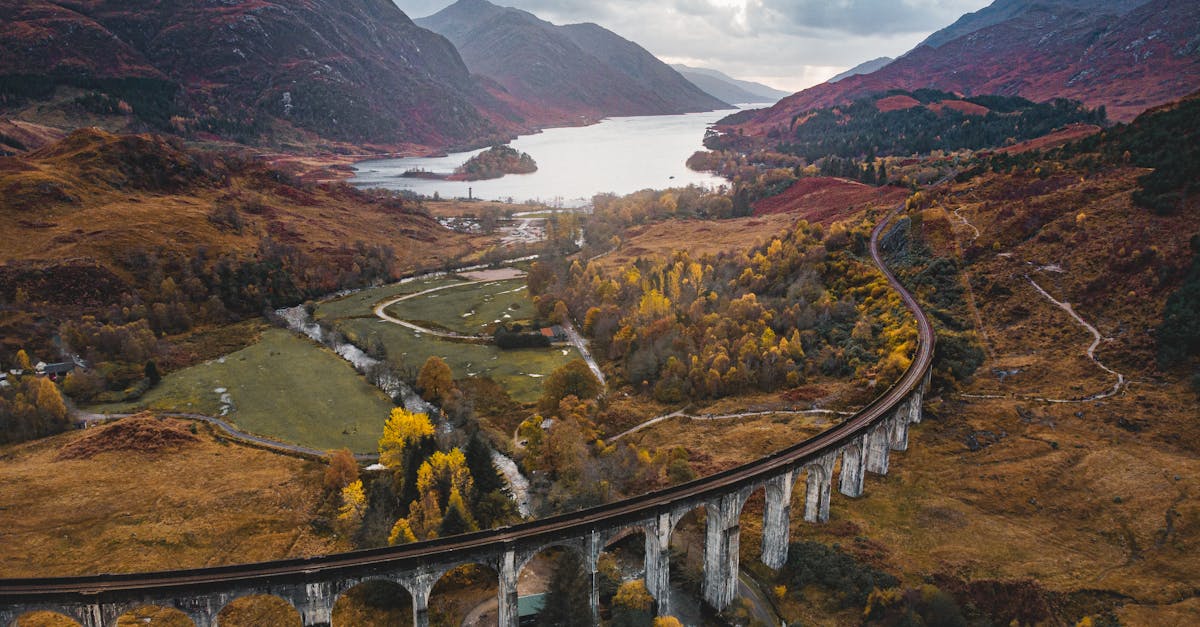 Sustainable Landscaping Techniques