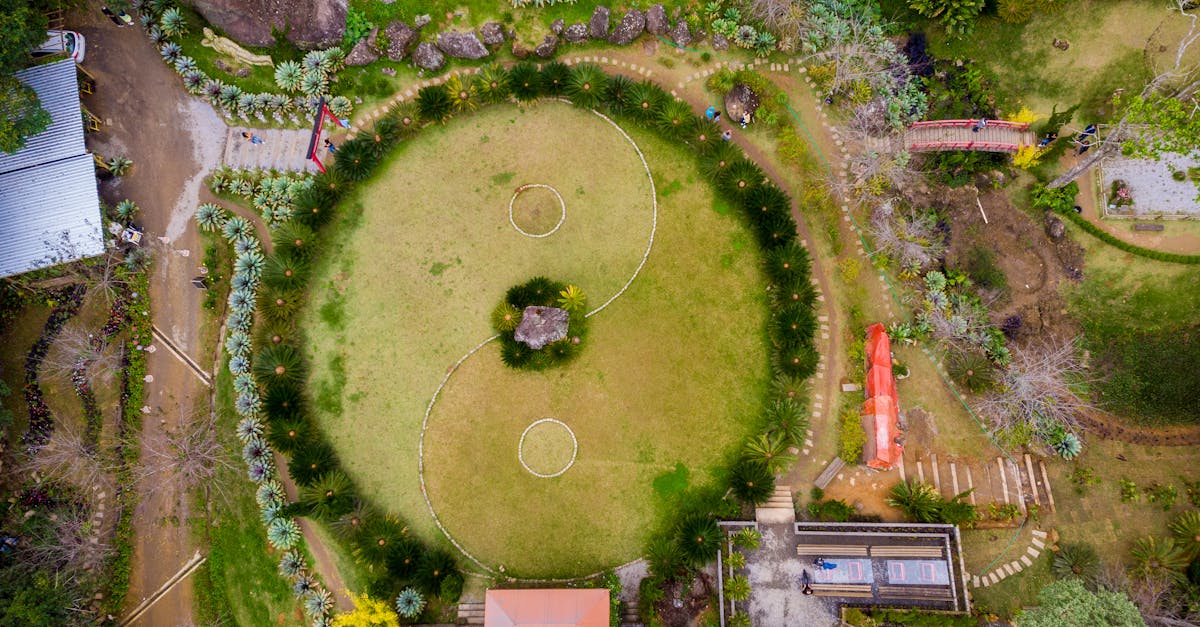 Sustainable Lawn Alternatives for Landscaping