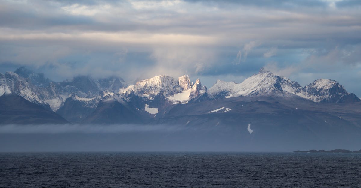 Sustainable Practices in Hardscape Design