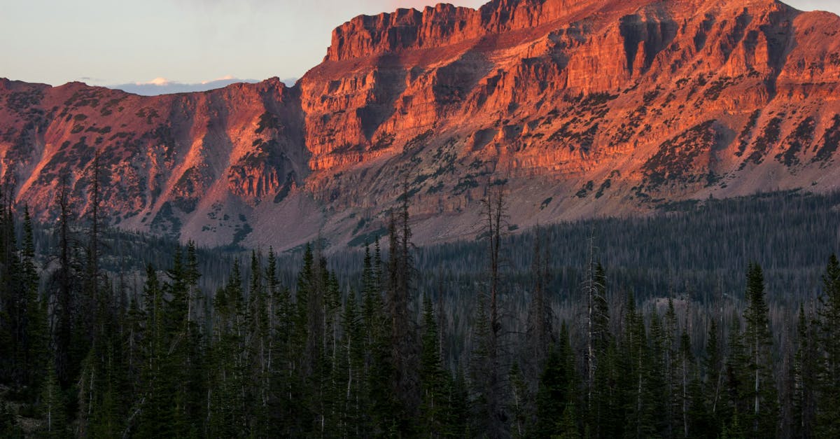 The Role of Ventilation in Outdoor Kitchen Layout