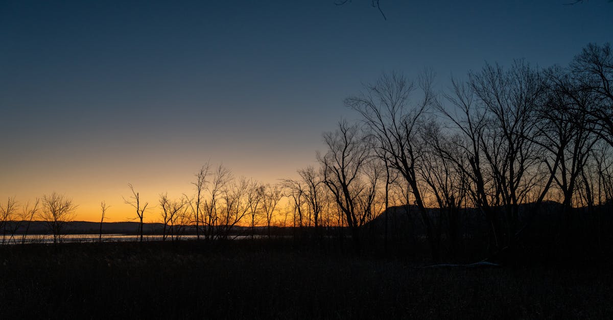 Utilizing Retaining Walls in Garden Hardscaping