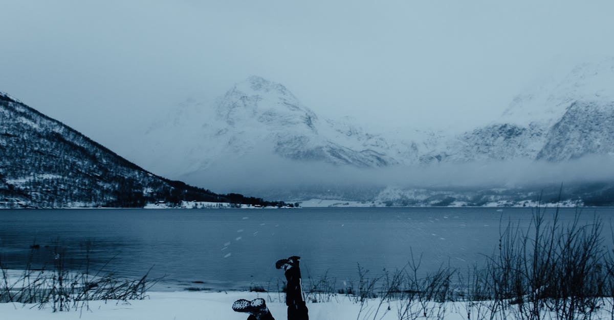 Water Conservation in Sustainable Landscaping