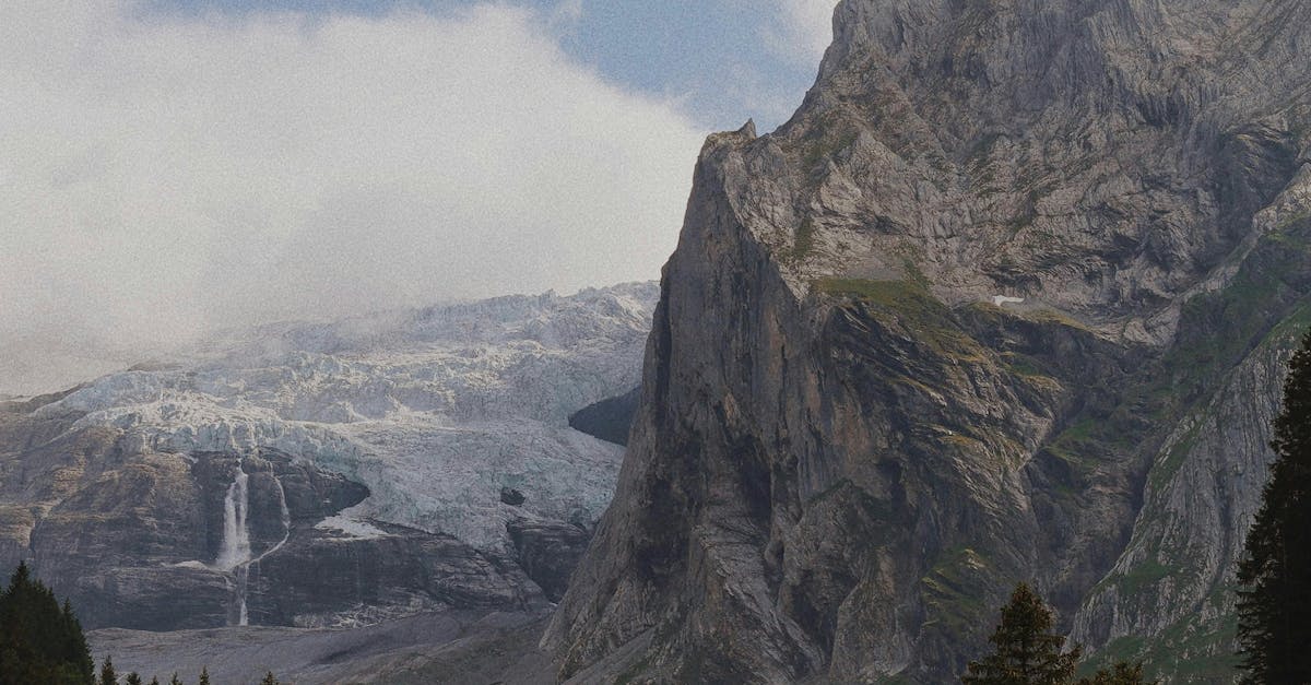 Winter Garden Protection and Care