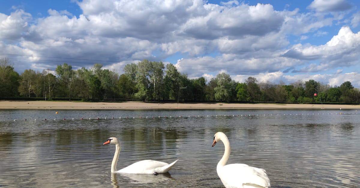 Year-Round Garden Maintenance Checklist